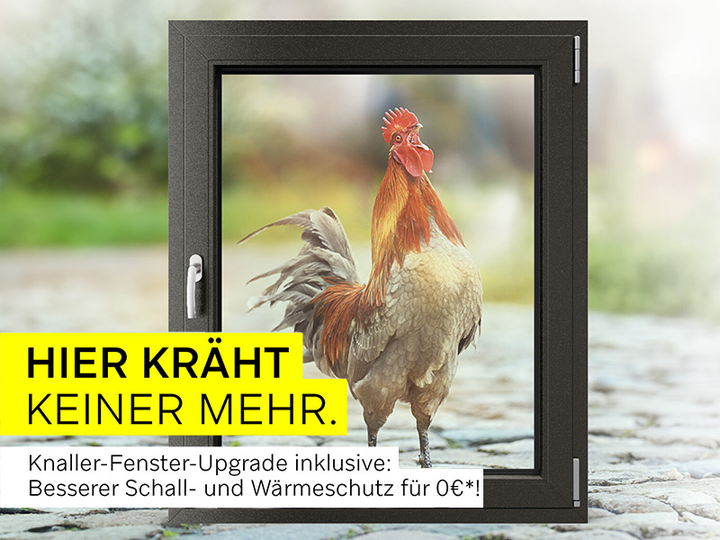 Schallschutzaktion von WERU